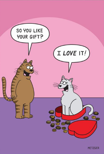 Valentines - Cat in Candy