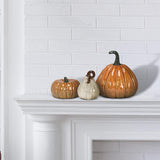 Mini Pumpkin - Ivory