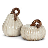 Mini Tall Pumpkin - Ivory