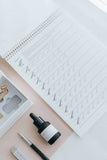 Beginner Calligraphy Starter Kit