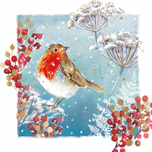 Boxed Holiday - Robin & Berries