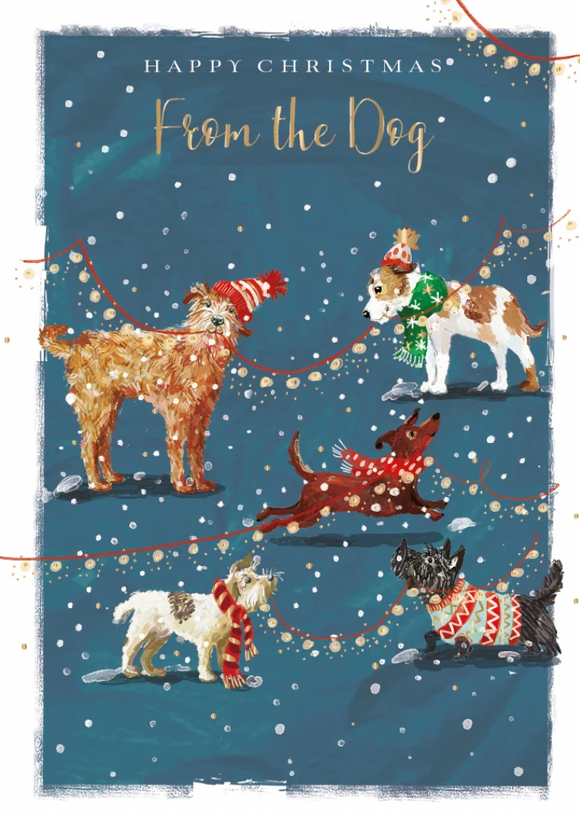 Christmas - From the Dog