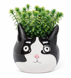 Cat Head Planter