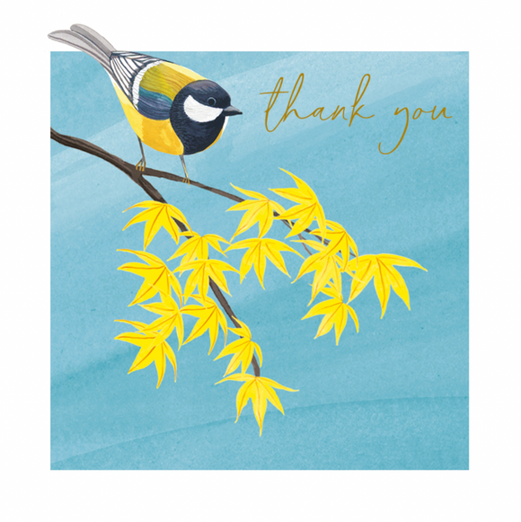 Thank You - Birds in the Park
