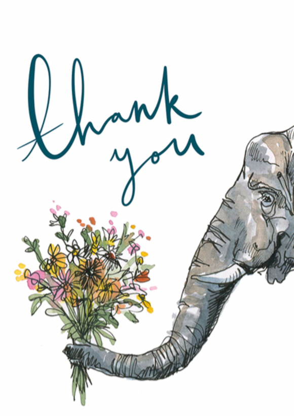 Thank You - Elephant