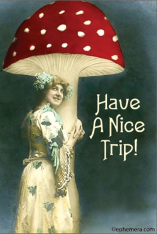 Have a Nice Trip... Magnet