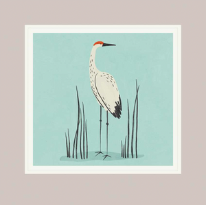 Blank - Sandhill Crane