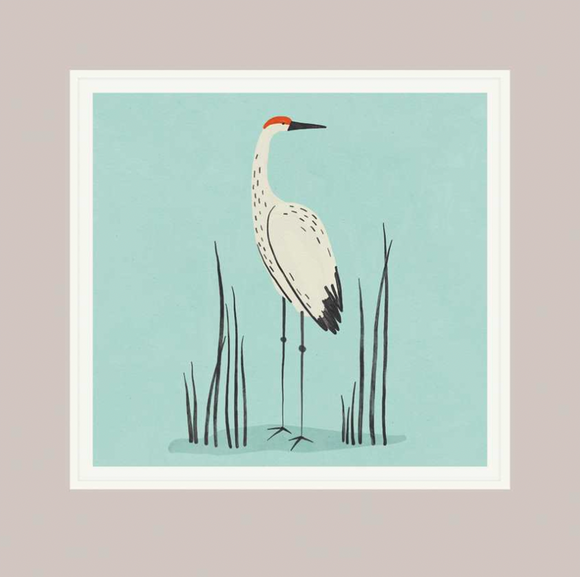 Blank - Sandhill Crane