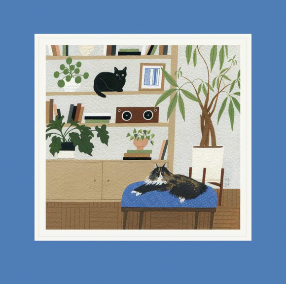 Blank - Cats at Home