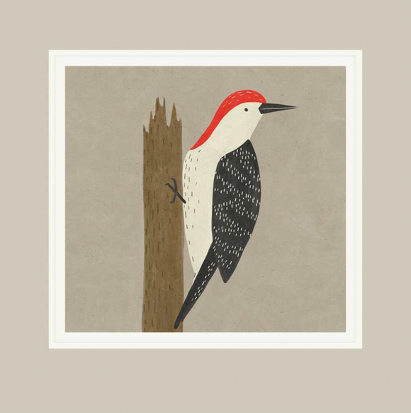 Blank - Woodpecker