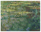 Claude Monet: The Lily Pond Small Boxed Notecards