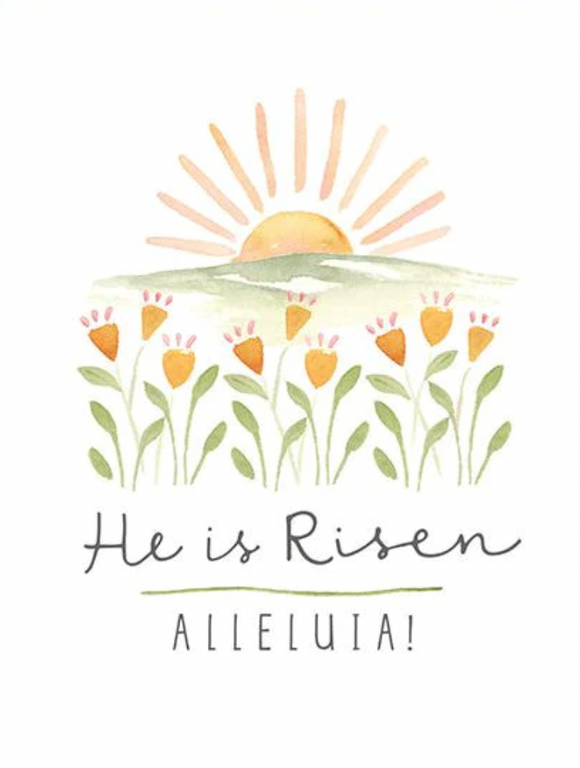 Easter - Tulip Sunrise (with Scripture)
