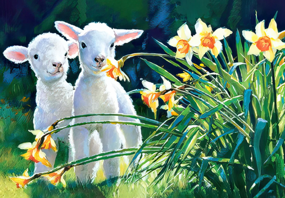 Easter - Lambs Smelling the Daffodils