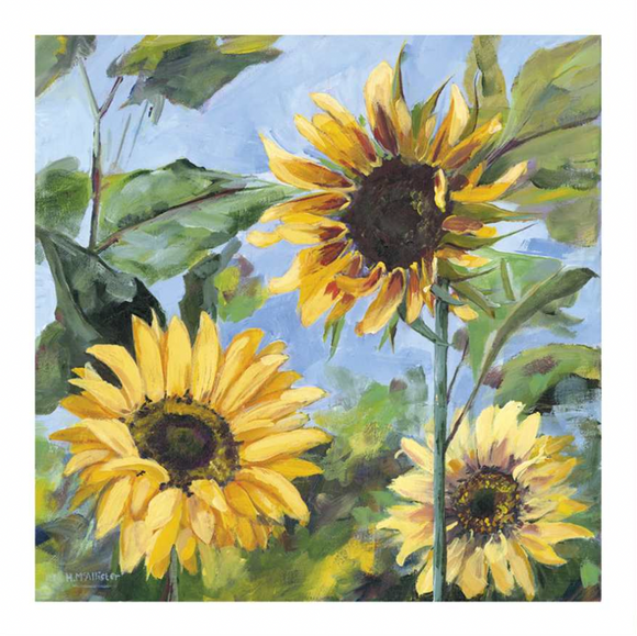 Blank - Sunflowers