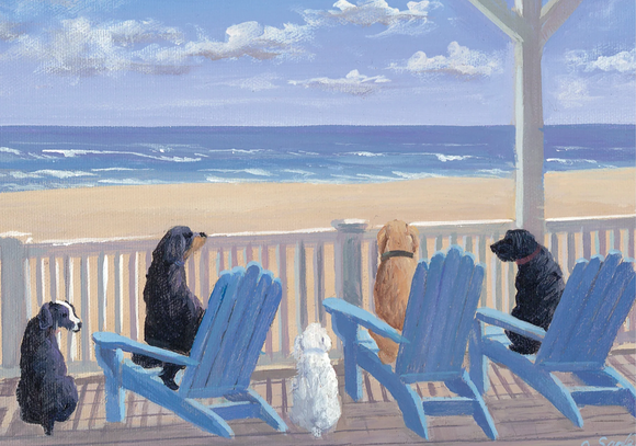 Boxed Notecards - Dogs on Deck Chairs