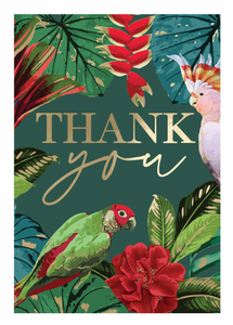 Thank You - Tropical Birds