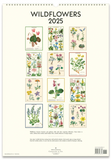 2025 Cavallini Wall Calendar - Wildflowers