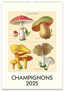 2025 Cavallini Wall Calendar - Champignons