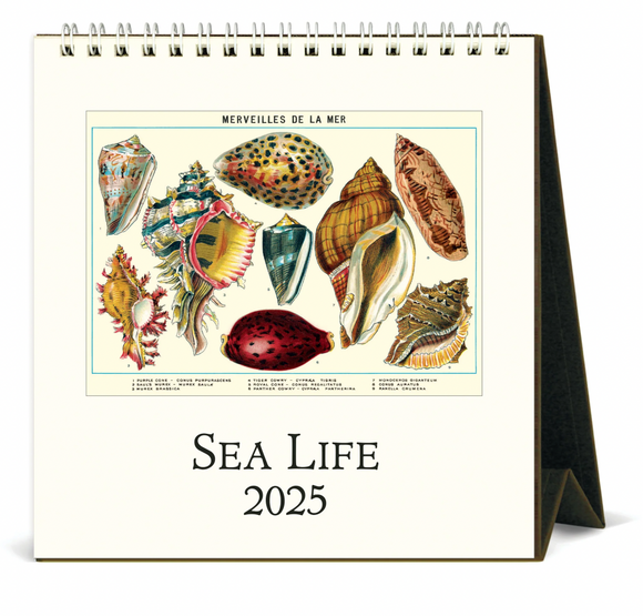 Cavallini 2025 Desktop Calendar - Sea Life