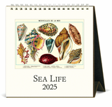 Cavallini 2025 Desktop Calendar - Sea Life