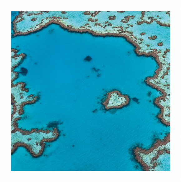 Blank - Great Barrier Reef