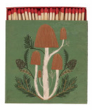 Mushroom Boxed Matches