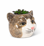 Mini Brown Tomcat Planter