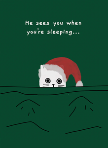 Christmas - Sees You When You Are Sleeping