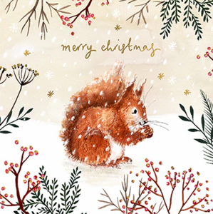 Christmas - Squirrel