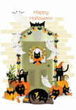 Halloween - Black Cats & Ghost Cats