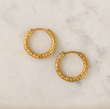 Lover's Tempo Brit Hoop Earrings: Waterproof Gold