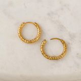 Lover's Tempo Brit Hoop Earrings: Waterproof Gold