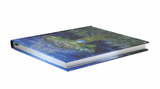Heart of the Tree Lined Journal