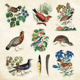 Zoological Ephemera Sticker Book