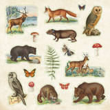 Zoological Ephemera Sticker Book