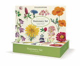 Wildflowers Notecard Set