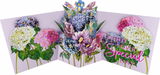 Birthday - 3D Flowers