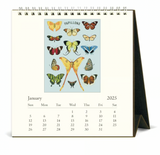 Cavallini 2025 Desktop Calendar - Papillions