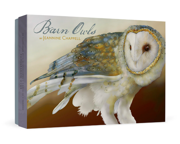 Barn Owls Boxed Notecards