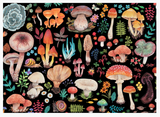 1000 pc Puzzle - Mushrooms