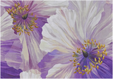 Boxed Notecards - Poppies in Bloom