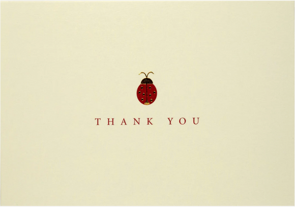 Boxed Thank You - Ladybug