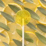 Seed-Bearing Lollipop