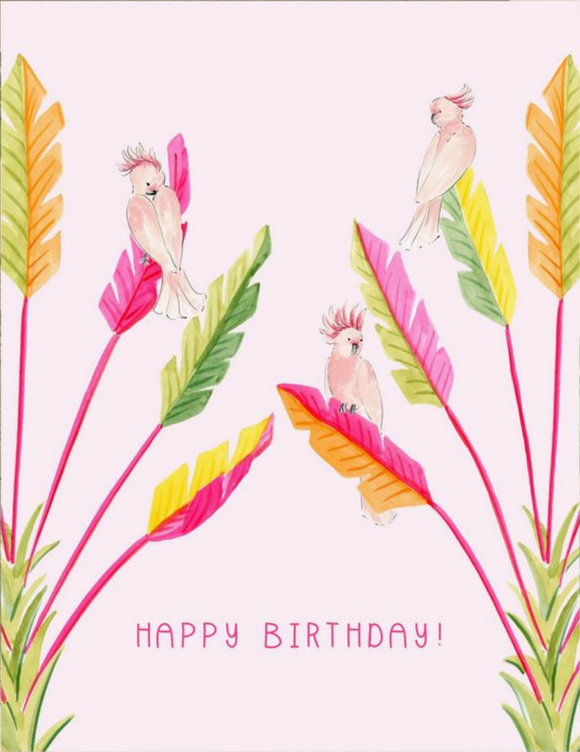 Birthday - Cockatoo Birthday