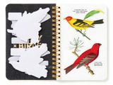 Salty Birds Sticker Book