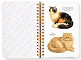Moody Cats Sticker Book