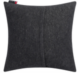 David Fussenegger Cushion Cover- SILVRETTA Third Eye Hand