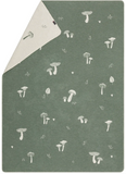 David Fussenegger - SILVRETTA Mushrooms'n More