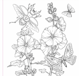Goth Garden Colouring Book