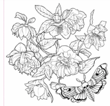Goth Garden Colouring Book